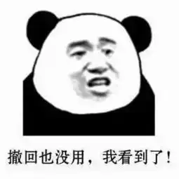 撤回表情系列,撤回也没用,我已经看到了