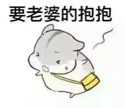 求小仓鼠夫君君的图片qwq