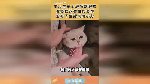 好不好嘛表情包撒娇主人