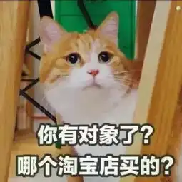 那些抛弃猫咪的借口,你做好对它负责的准备了么 那些抛弃猫咪的借口,你做好对它负责的准备了么