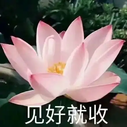  超级土味表情包