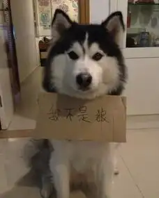  妹子,你的口罩太另类了吧,旁边的大叔表示很无奈啊