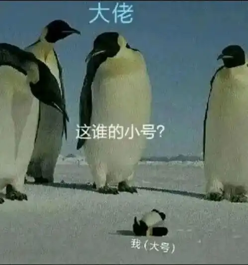  请问要先到深圳再找工作吗