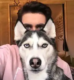  网友说他家狗的日常表情丰富又到位,可我全程都在...看主人