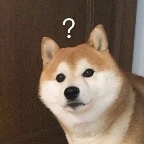  沙雕表情包l本狗要开始舔了