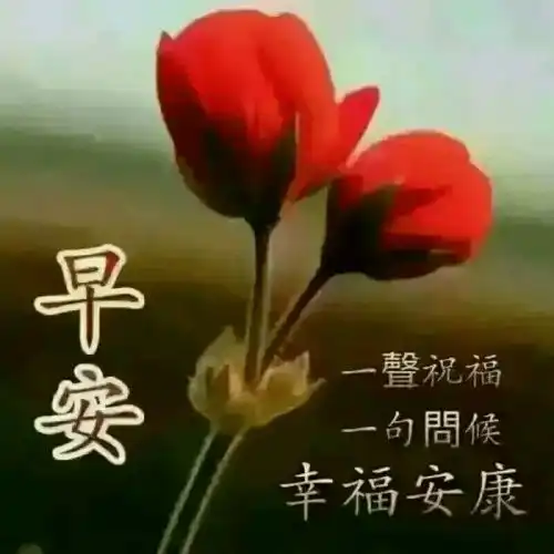  朋友圈早安问候语图片带字,周一清晨唯美的早晨祝福图片表情
