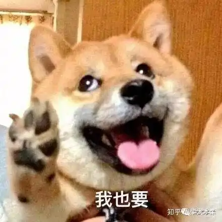  求求你们,养狗不要养柴犬因为...