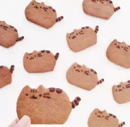 求小饼干表情包大全活生