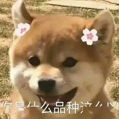  沙雕表情你好像不想哄我