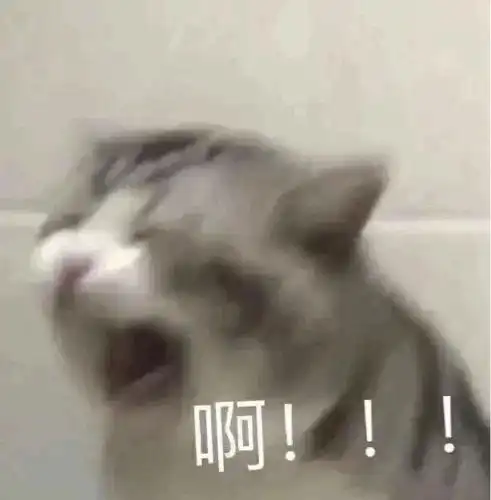  得找个地方存表情包