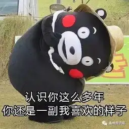 父亲的身影表情包粤语