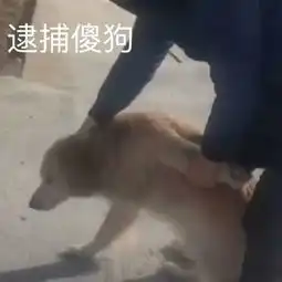  盘点那些年你做过最无奈且搞笑的事