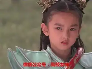 武媚娘传奇演员表情包小