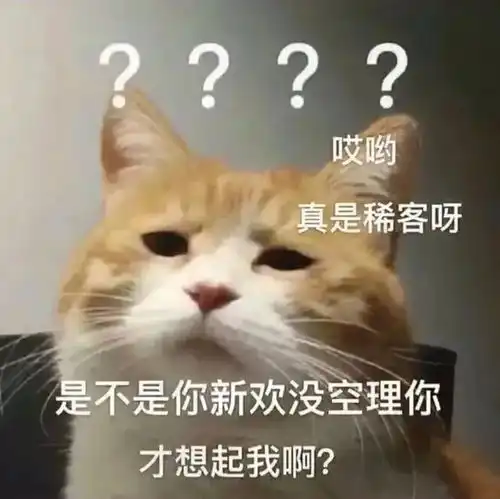  斗图表情包怎么不找我了是不是小宝贝太多忘了我