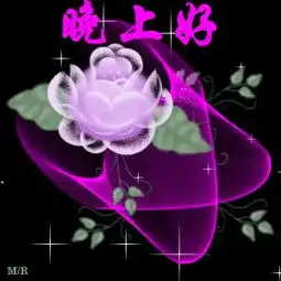 微信表情晚安