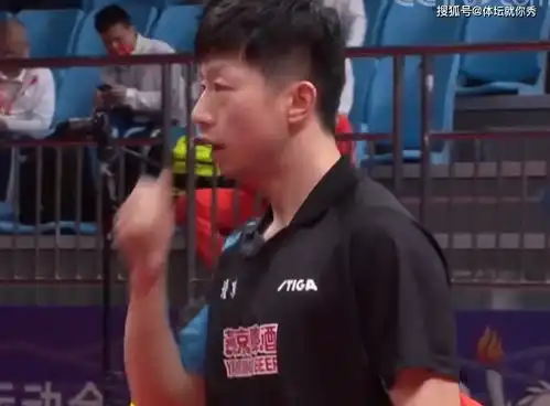  30马龙完美复仇,连得5分逆转,谁注意樊振东的表情,成名画了比赛