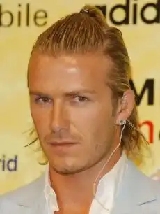 求一个c罗纳尔多和大卫贝克汉姆的头像要好看 求一个c罗纳尔多和大卫贝克汉姆的头像要好看