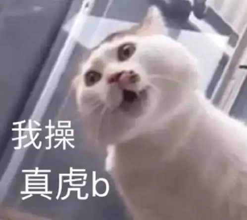 沙雕狗子表情包聊天表情