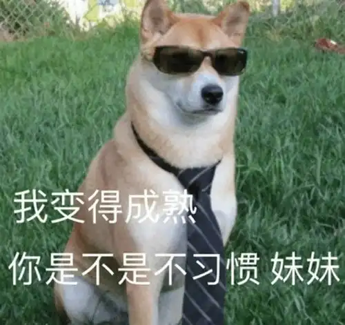  如何看待肖战ins账号凌晨两点被换黑头像