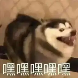  狗子能有多沙雕这一个个都是沙雕界的冠军选手吧