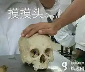  轻松一刻川普的新座驾,竟是凯迪拉泰
