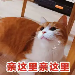  金牛座和摩羯座在一起合适吗