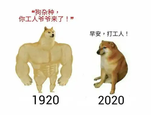  沙雕网友笑死我了