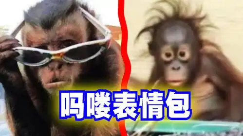  爆笑解说吗喽表情包该怎么用