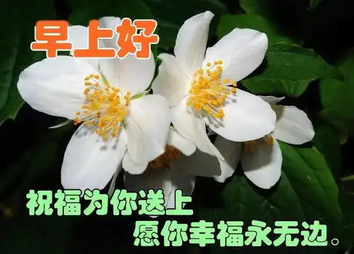 早上好表情包可爱叮铃铃