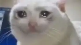  前方高能可爱唯美