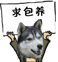  小猪动图这些话,换个说法逼格就来了