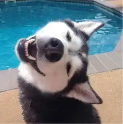  绝地大逃杀陈彦川28日11点档桥头跳舞蹦迪