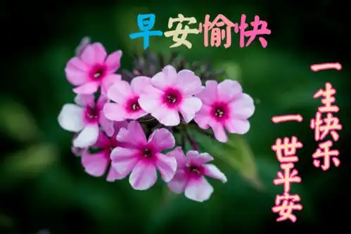  2021最新早上好祝福语大全,早上好问候语句子