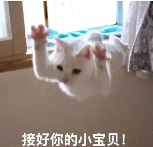  蛤听说这里有丰厚的志愿者小时数