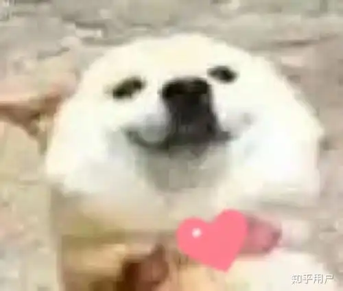  舍友帮忙买东西,需要多给钱吗