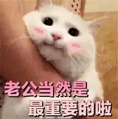  如果老公生气了那一定是我错了可爱猫咪表情包老公永远都是对的迷妹少女...