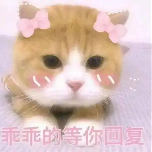  小仙女表情包用起来