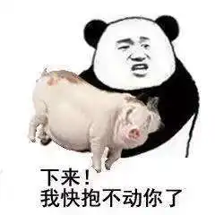  下来我快抱不动你了表情包可以说是非常精彩了表情包下载乐游网游戏下载