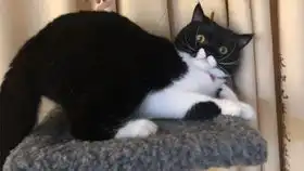  mk包包开箱视频