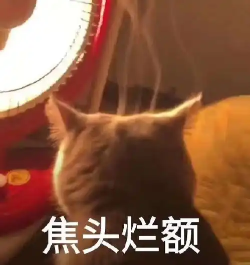  轻松一刻夏天开车,千万小心路边的美腿