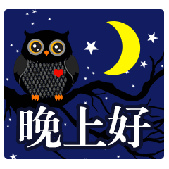  睡个好觉是现在最重要的事情,所以,晚安啦为什么不呢