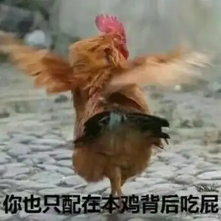  最新热门可爱搞笑的表情包图片大全
