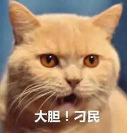  喵星人给你丢了个表情包你算哪块小饼干