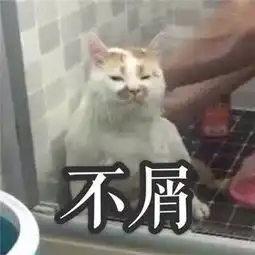  主人让两只猫咪互相拥抱,橘猫一脸嫌弃朕是被强迫的