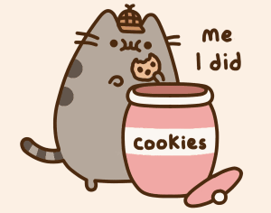 求小饼干表情包大全弱爆