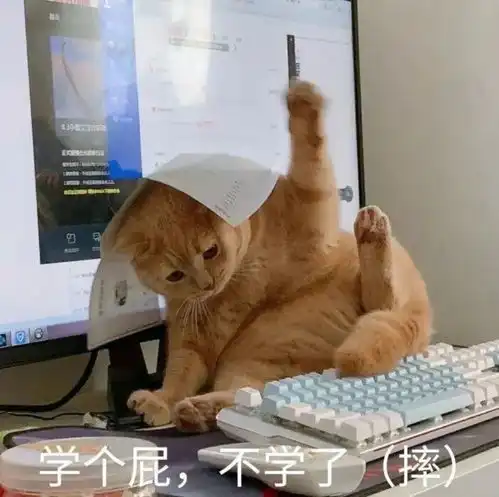  沙雕猫猫表情包气到炸毛