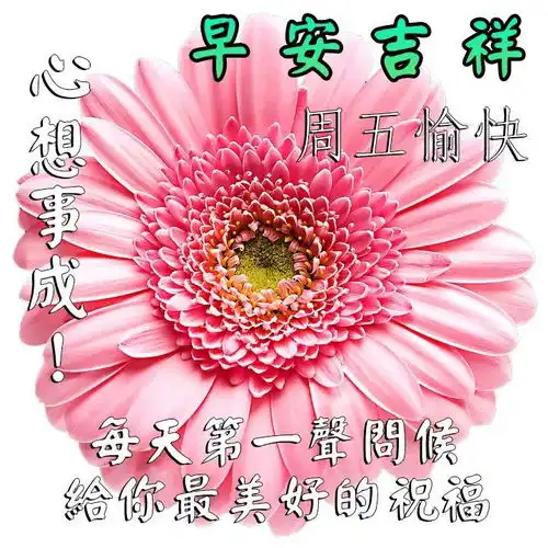  早上好问候语早上好祝福语早上好温馨句子