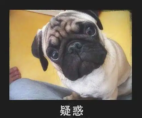 html手机端左右自动滚动效果,html5手机触屏左右滑动切换特效 html手机端左右自动滚动效果,html5手机触屏左右滑动切换特效