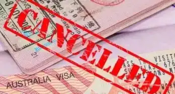 早上好表情包可爱加拿大