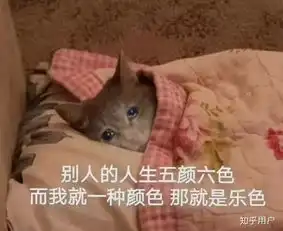  竺院19级新生数据大揭秘这是一份有温度的数据